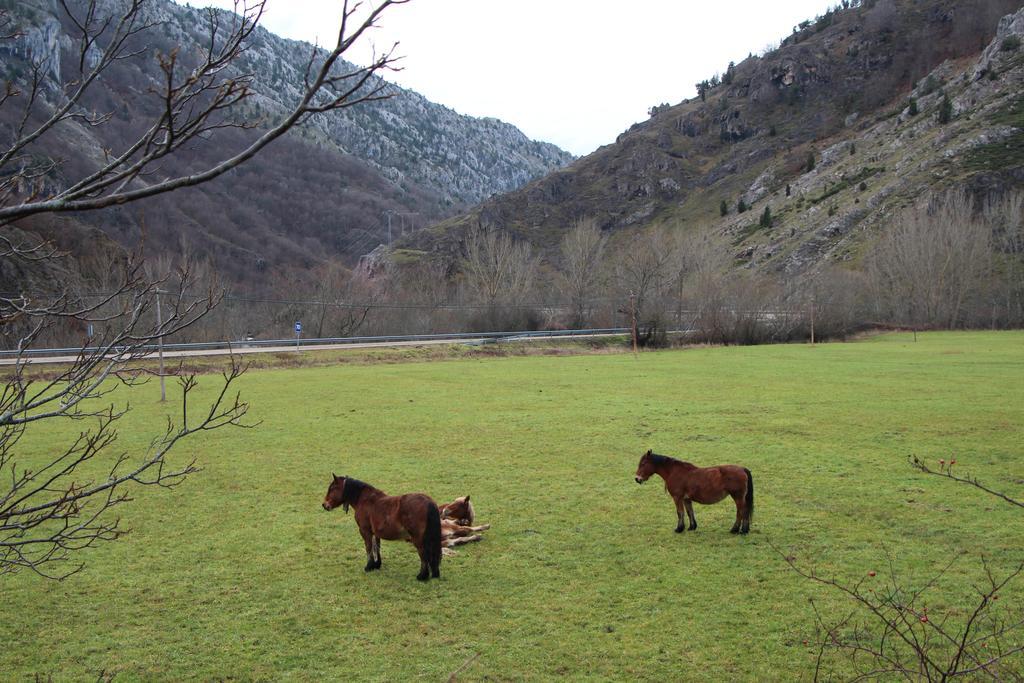Hotel Moto-Rural "Vegalion" Las Salas Exterior foto